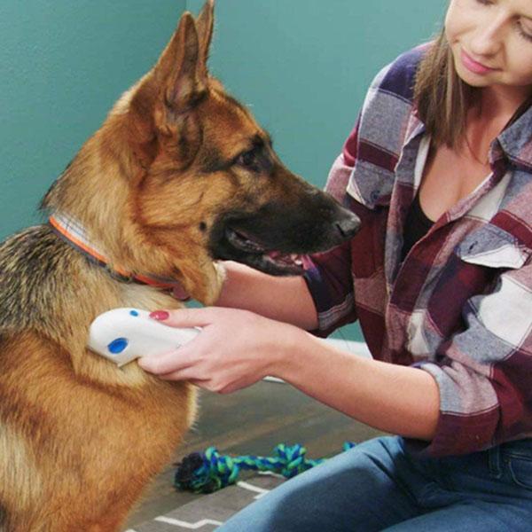 Electric lice remover Pets Fashion