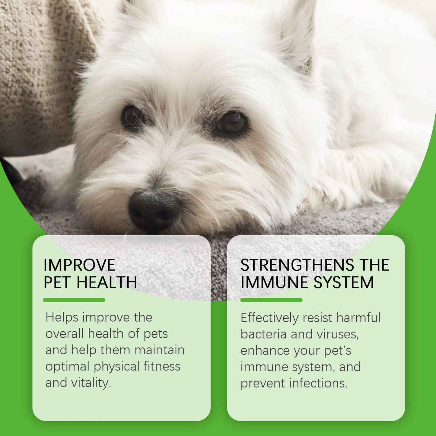 Dietary Supplements For Pets And Dogs Pets Fashion