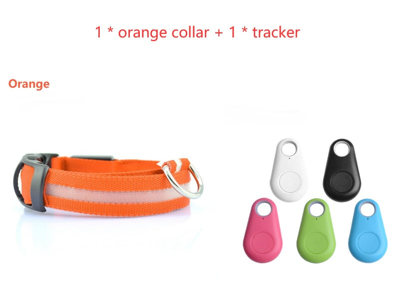 Safety Dog LED Collar Pets Fashion