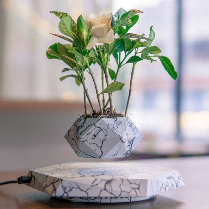 Floating Magnetic Plant Pot PearlNestDecor.com