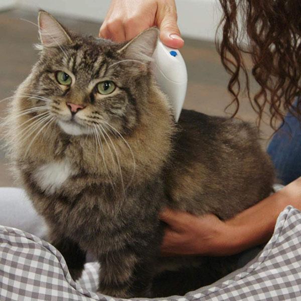 Electric lice remover Pets Fashion