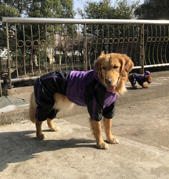 Large dog pet raincoat Pets Fashion