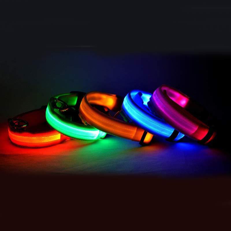 Dog Luminous Collar Pets Fashion