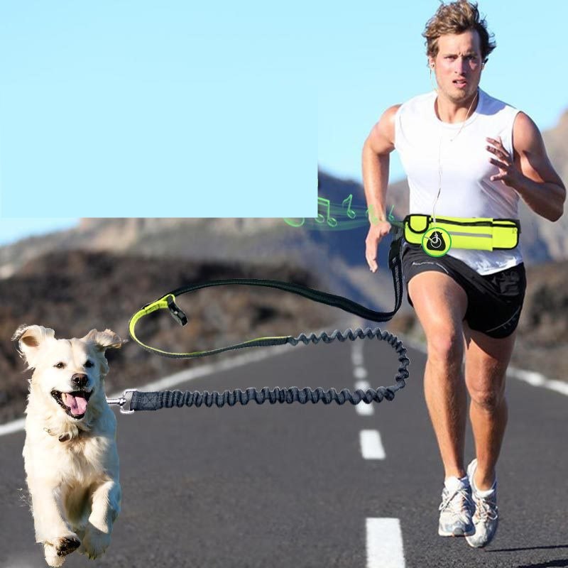 Hands-Free Dog Running Leash Pets Fashion