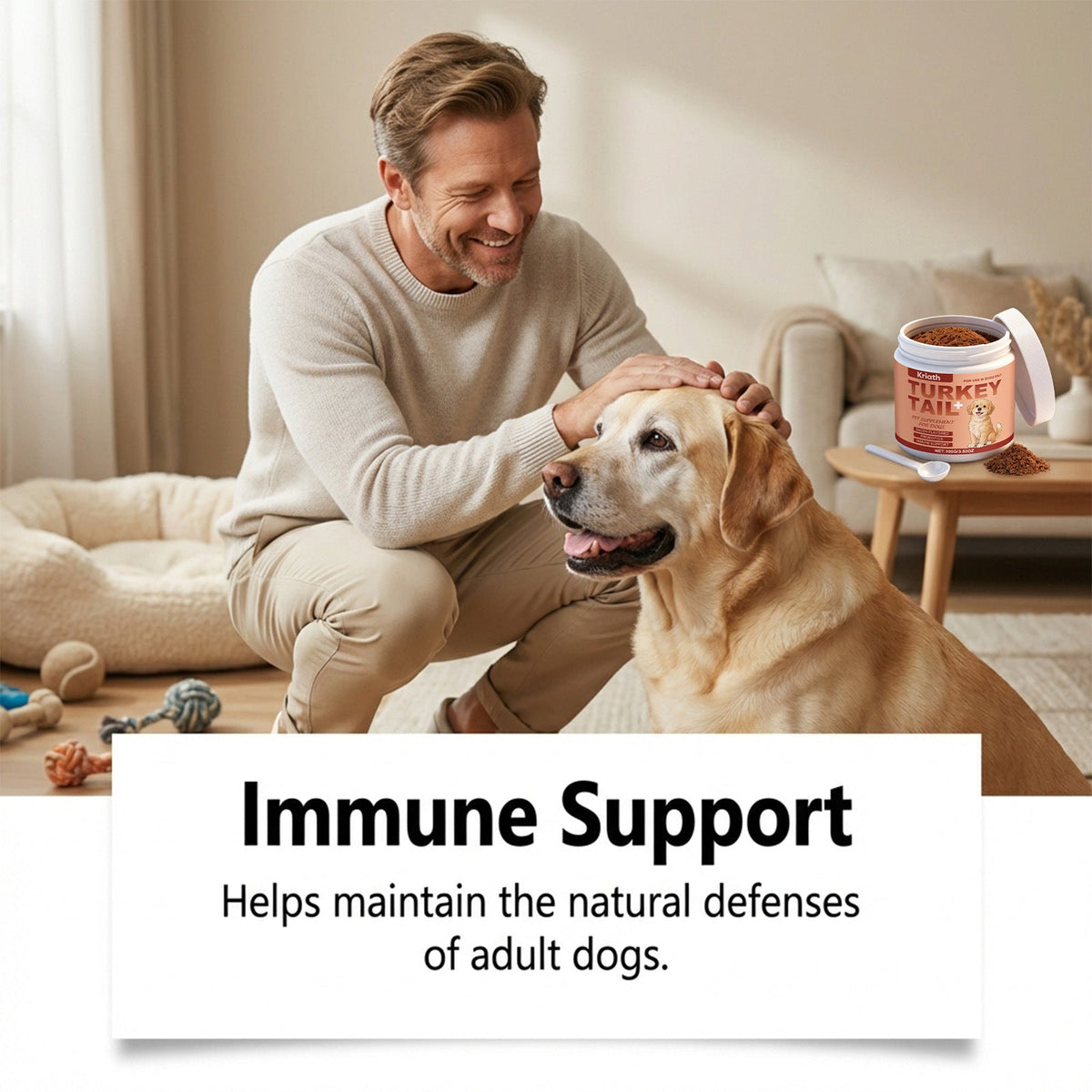 Immune Supplements For Dogs Pets Fashion