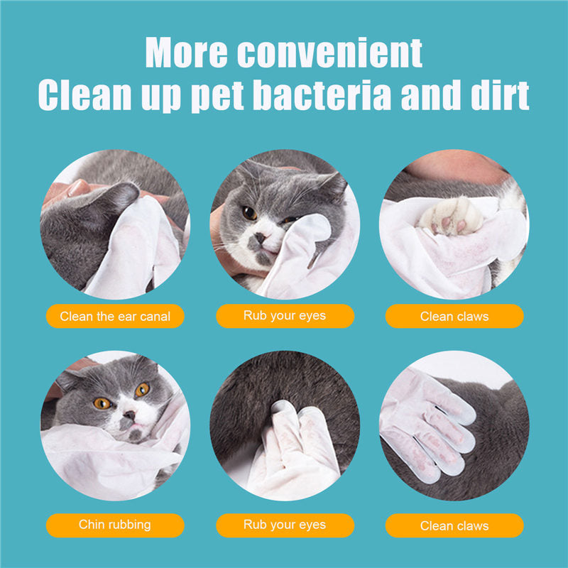 No-bath And Cat-free Non-woven Gloves Pets Fashion