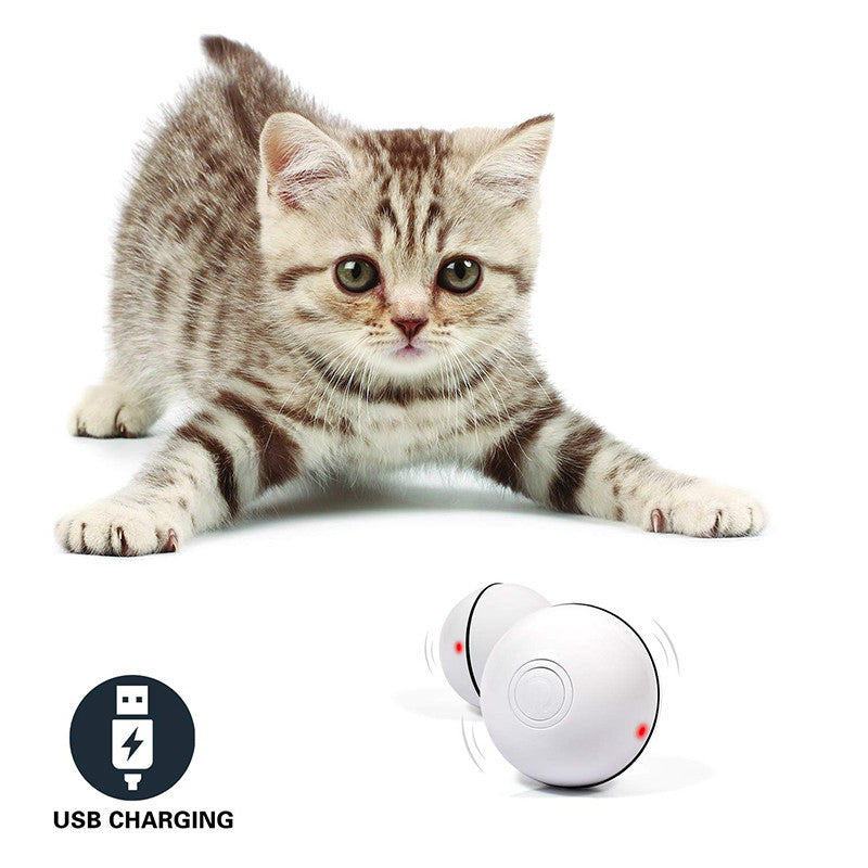 LED Laser Electronic Rolling Pet Funny Cat Toy Ball Pets Fashion