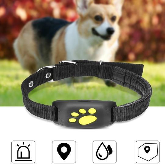 Pet GPS Tracker Pets Fashion