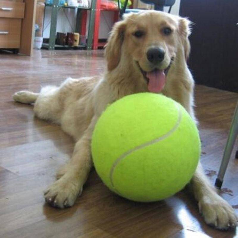Jumbo Tennis Ball LuxuryLifeWay Online Store