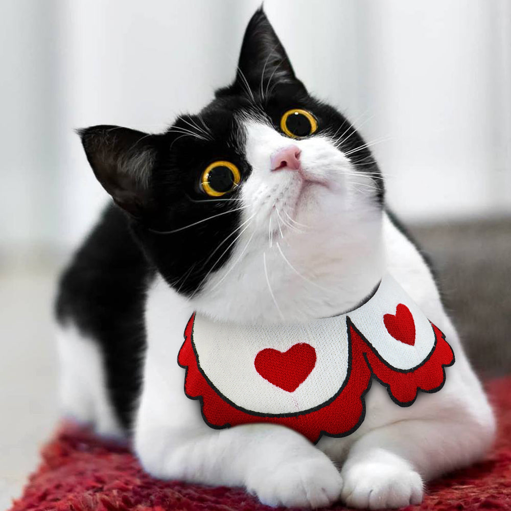 Pet collar Pets Fashion