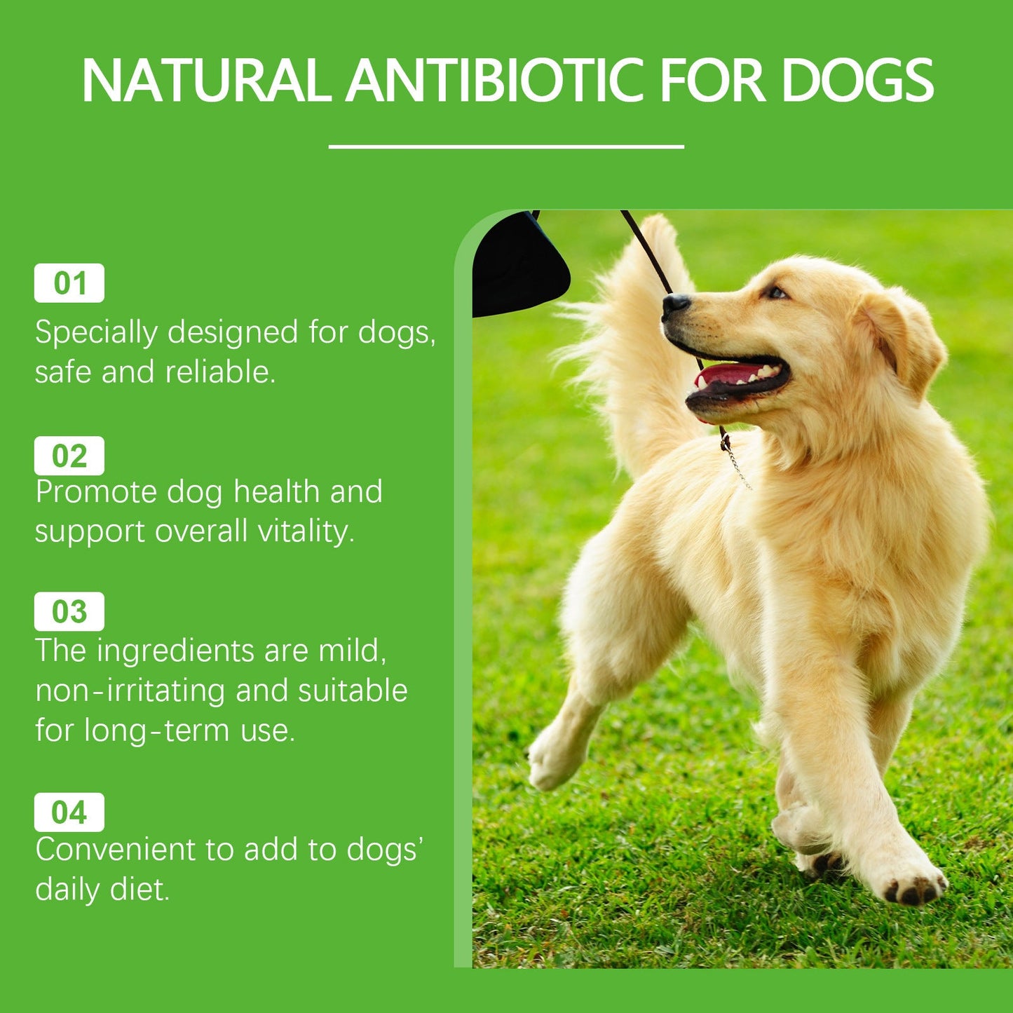 Dietary Supplements For Pets And Dogs Pets Fashion