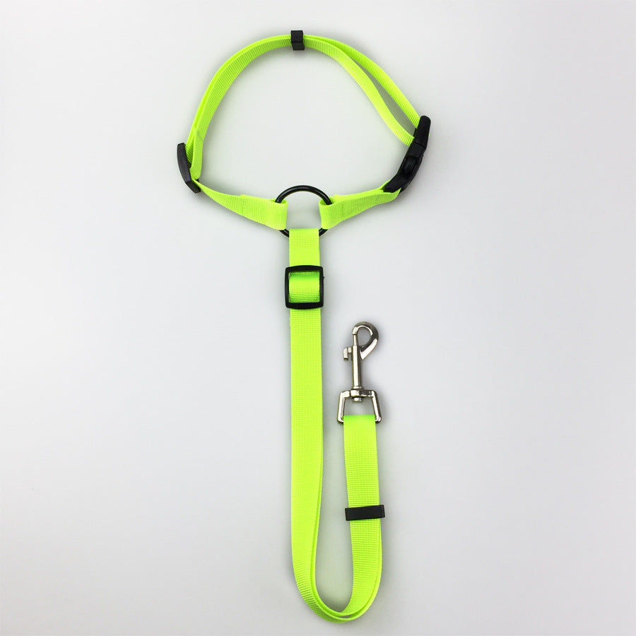 Pet safety leash Pets Fashion