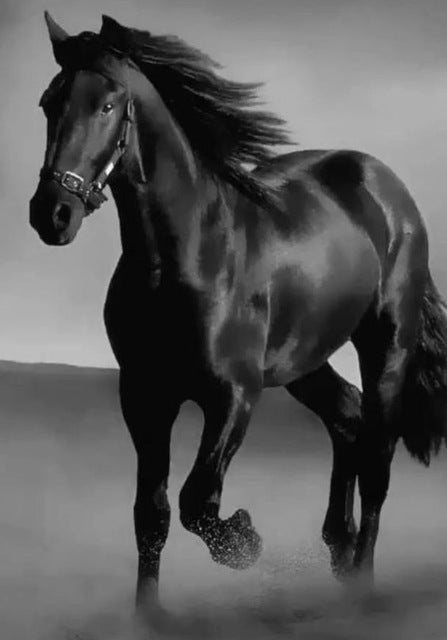 Art Canvas Animal Dark Horse Wall Art Living Room Home Decor PearlNestDecor.com