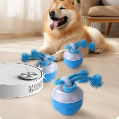Pet Ball For Dogs Interactive Toys Motion Activate Rolling Ball For Puppy Small Dogs Automatic Moving Toy USB Rechargeable Toy Pet Products Pets Fashion