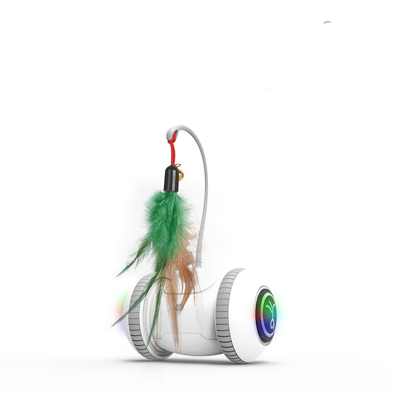 Interchangeable Cat Feather Toy Pets Fashion