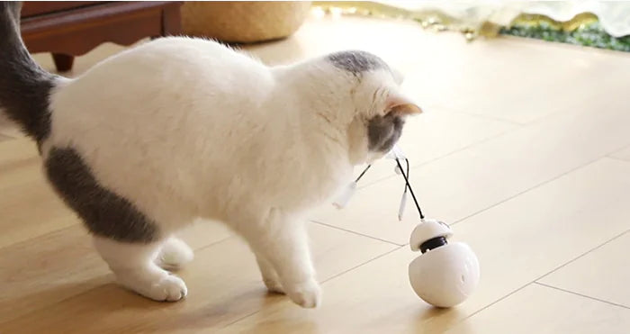 3-in-1 Robotic Laser Cat Toy for Pets