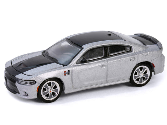 2018 Dodge Charger SRT 392 Silver Metallic with Black Stripe "Mr. Norm Heritage GSS Charger" "Hobby Exclusive" Series 1/64 Diecast Model Car by Greenlight LuxuryLifeWay Online Store