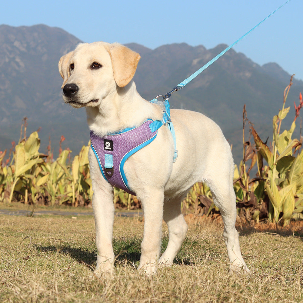 Breathable Pet Harness Adjustable Leash Pets Fashion