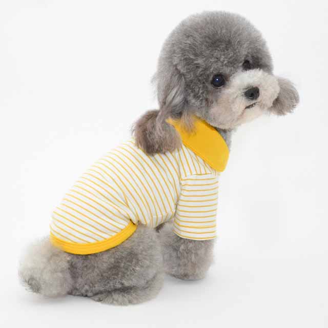 Clothes For Pets Pets Fashion