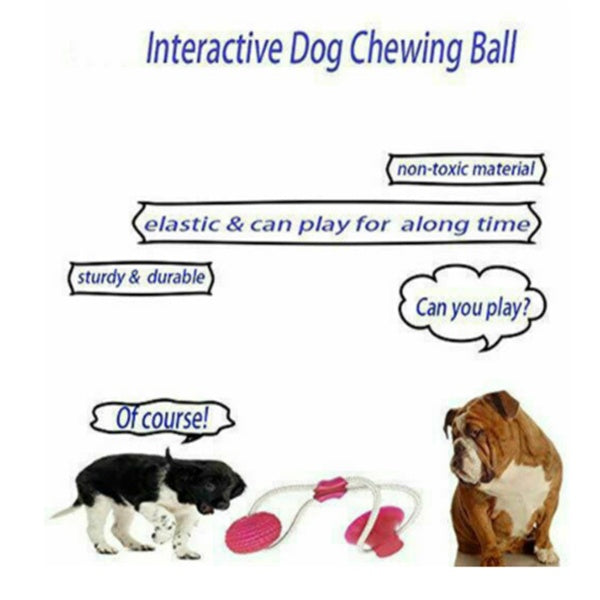 Dog Biting Sucker Multifunction Pet Molar Bite Toy Pets Fashion