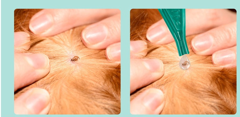 Abamectin transdermal solution Pets Fashion