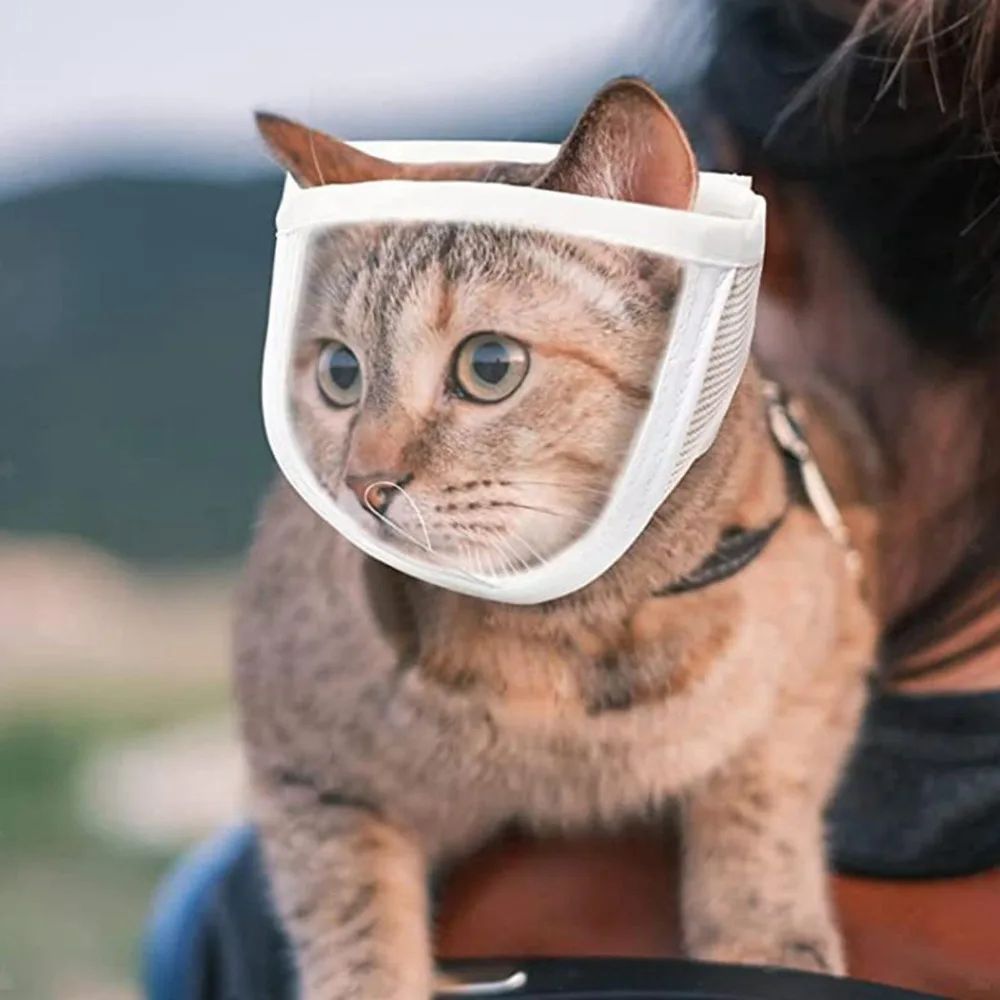 Anti Bite Puppy Kitten Muzzles Mask Pet Product Cat Muzzle Breathable Dogs Cats Bathing Grooming Tools Pets Fashion