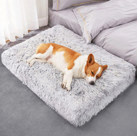 Plush Square Pet Bed Wave Memory Foam Deep Sleep Dog Sofa Bed Pets Fashion