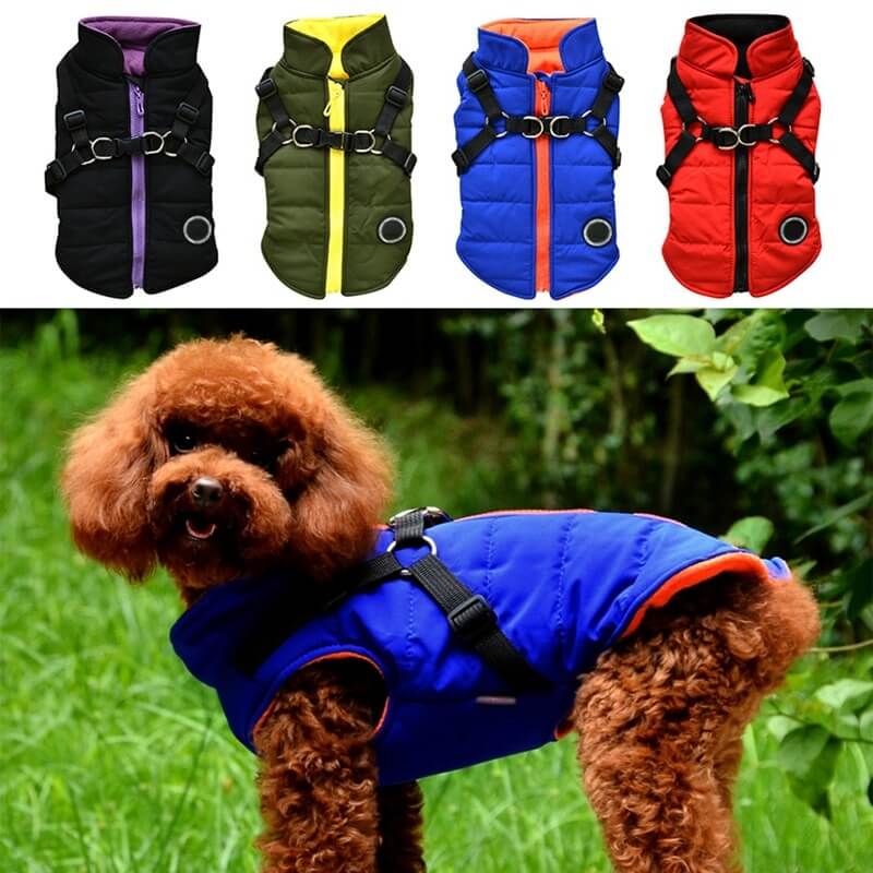 Dog zipper jacket Pets Fashion