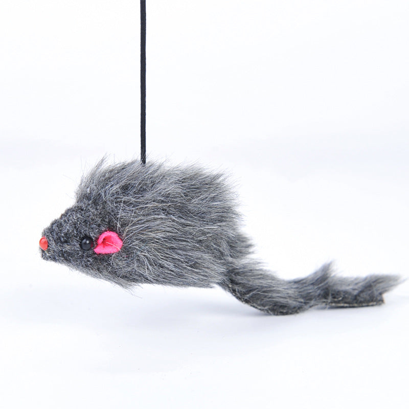 Pet Telescopic Hanging Door Small Mouse Pets Cat Toy Pets Fashion