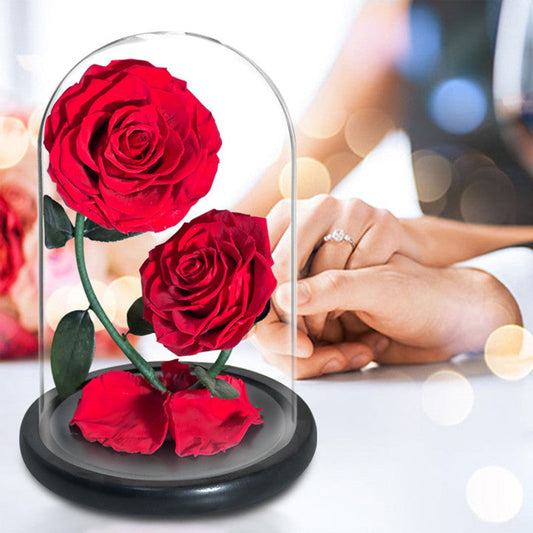 Double Preserved Flower Rose Valentine's Day Gift LuxuryLifeWay Online Store