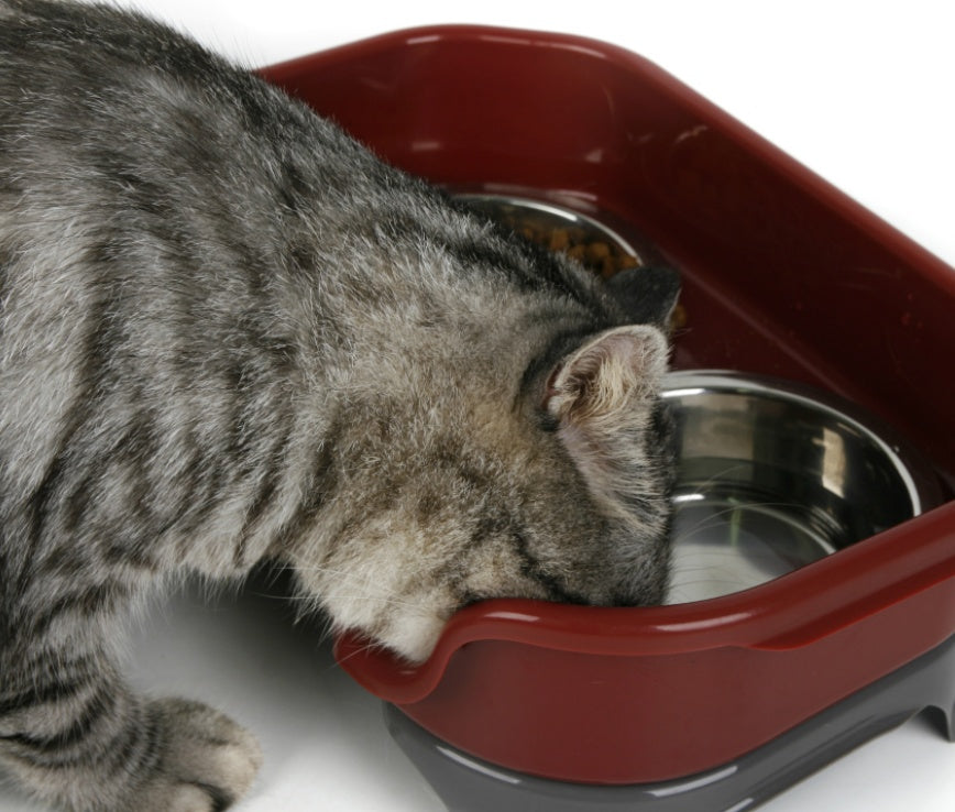 Dog bowl cat bowl pet cat double basin splash-proof neat dog cat rice bowl food bowl stainless steel bowl Pets Fashion