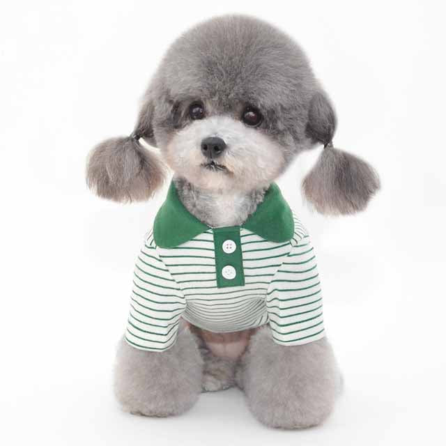 Clothes For Pets Pets Fashion