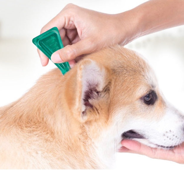 Abamectin transdermal solution Pets Fashion