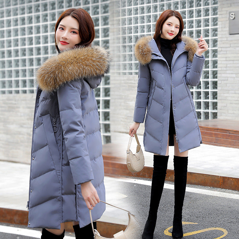 2020 Women's Korean Hooded White Duck Down Jacket Pi-Mart