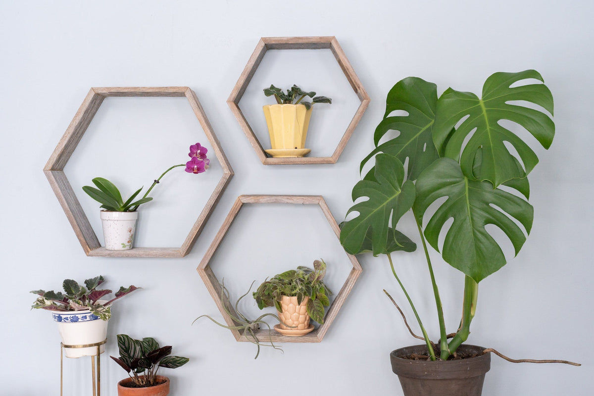 Set Of 3 Hexagon Rustic Natural Weathered Grey Wood Open Box Shelve LuxuryLifeWay Online Store