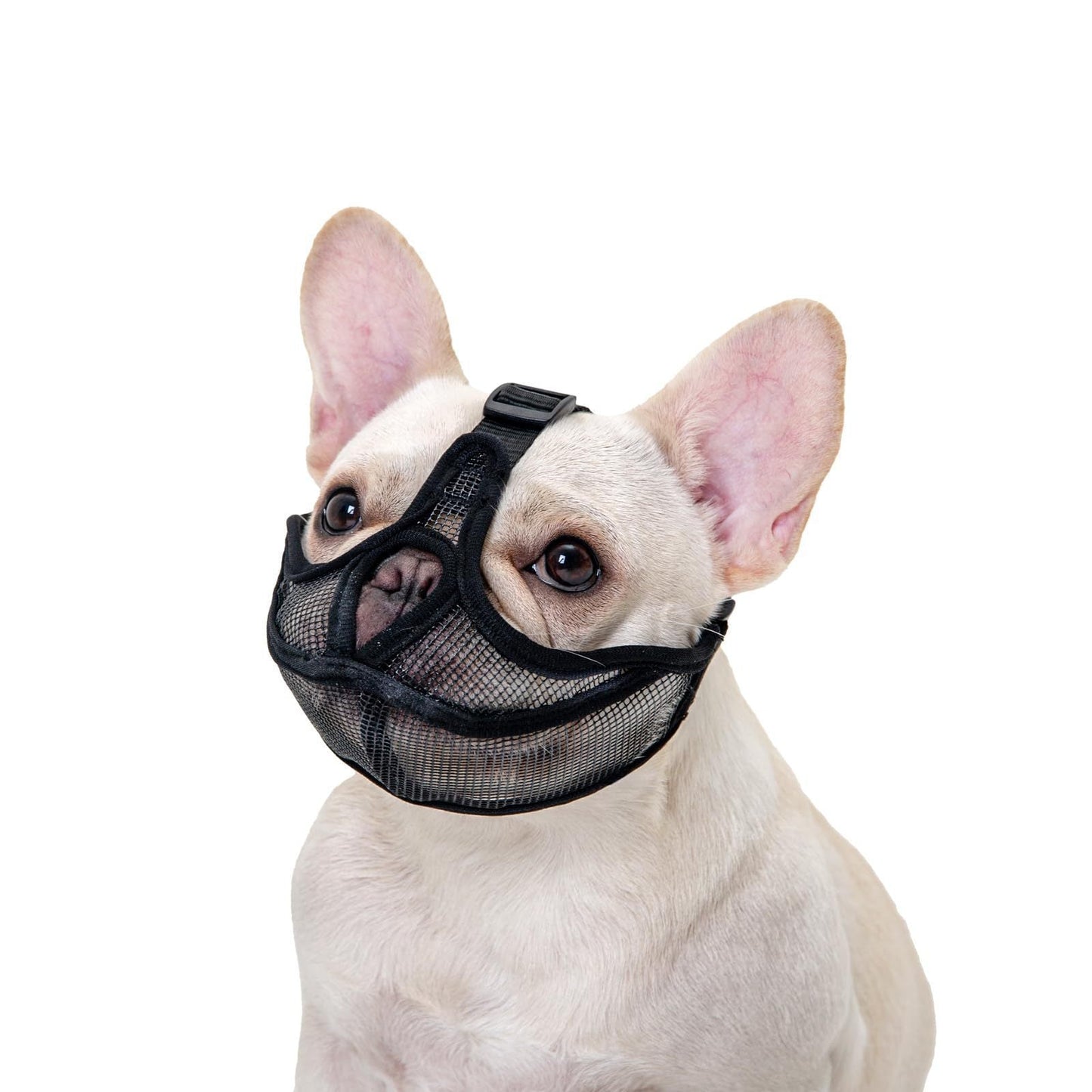 French Muzzle Anti-Bite Short-Snouted Breathable Pug Dog Face Mask Pet Pets Fashion
