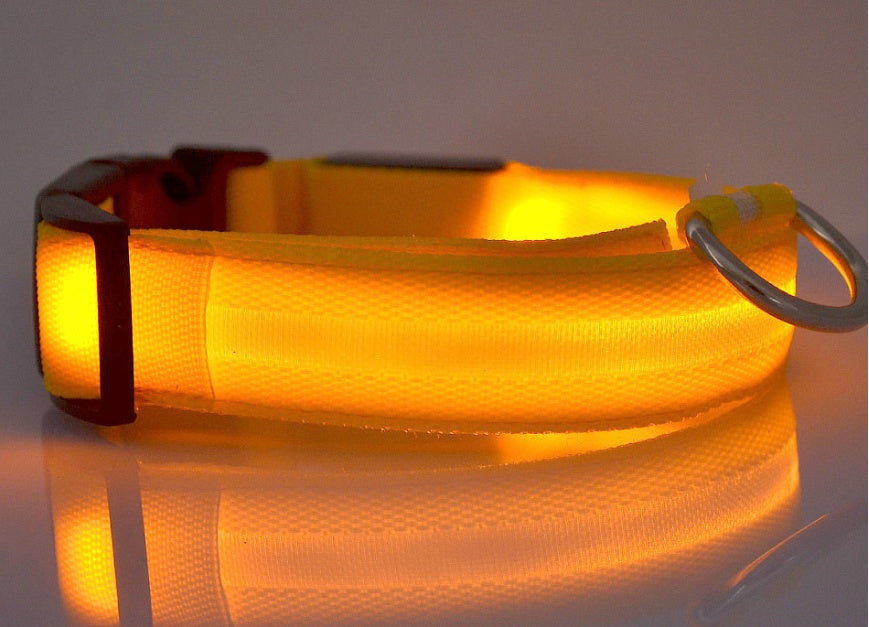 Dog Luminous Collar Pets Fashion