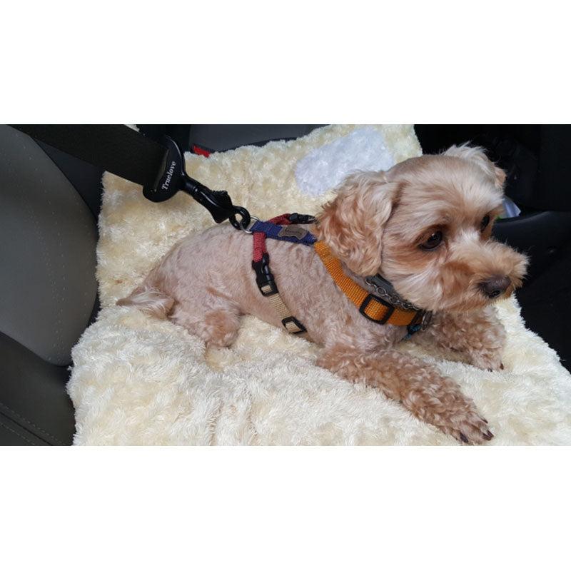 Pet Car Safety Buckle Car Accessories Holder Pets Fashion