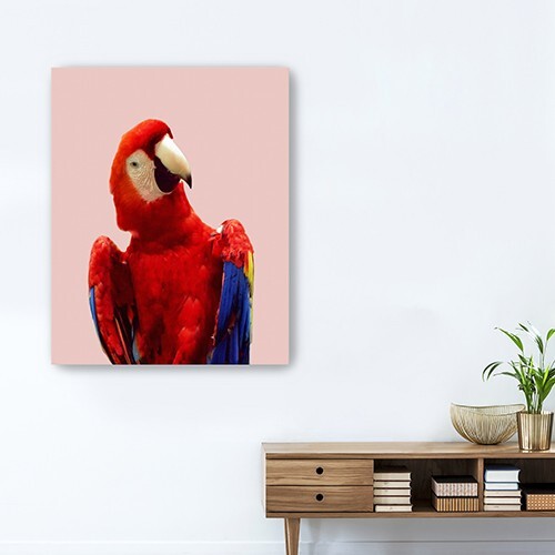 Vibrant And Vivid Bird Unframed Print Wall Art LuxuryLifeWay Online Store