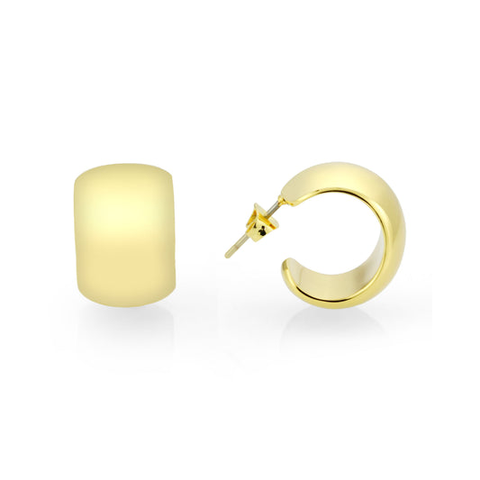 3W1740G - Flash Gold Brass Earring with NoStone in No Stone LuxuryLifeWay Online Store