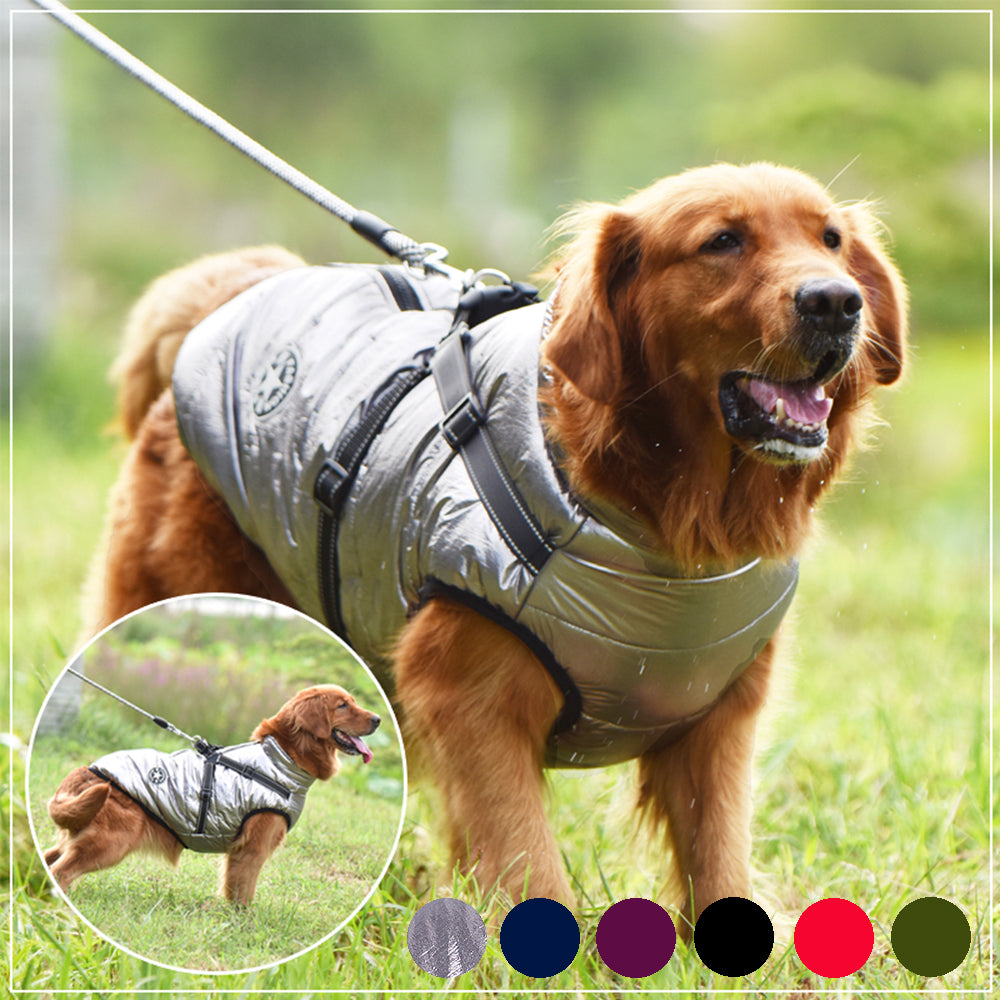 Waterproof Dog Clothes Winter Dog Coat With Harness Warm Pet Clothing Big Dog Jacket Chihuahua Labrador Coat Costume Best YouTube Store