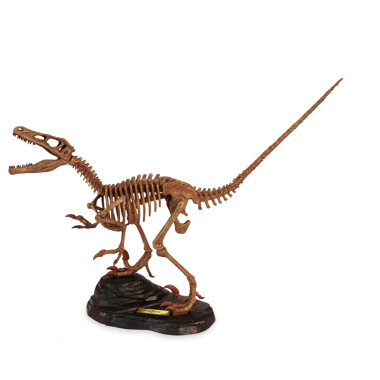 Dr. Steve Hunters GEOWorld Dino Dig Velociraptor Excavation Kit LuxuryLifeWay Online Store