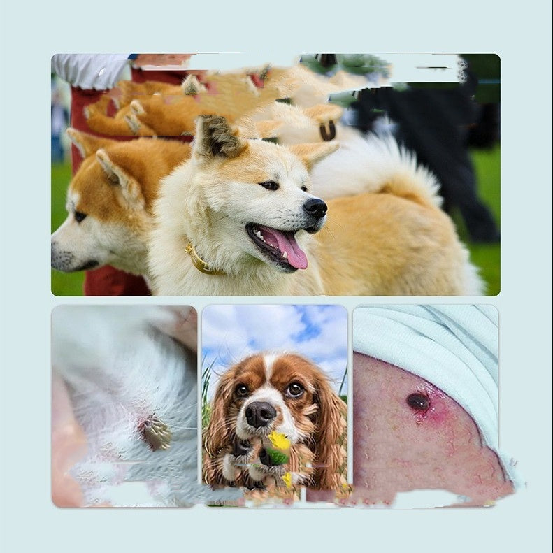 Flea Tick Tick Tick Collar Pets Fashion