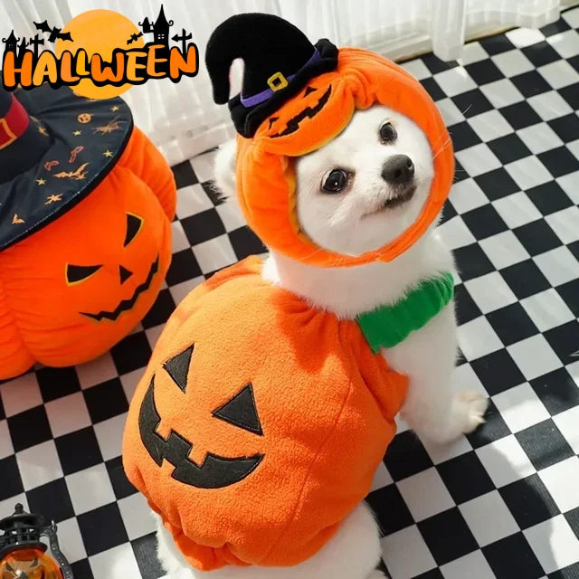 Halloween Pumpkin Vest For Dogs Cats Festive Pet Costume Harness Funny Thanksgiving Christmas Apparel For Small Animals Clothing Pets Fashion