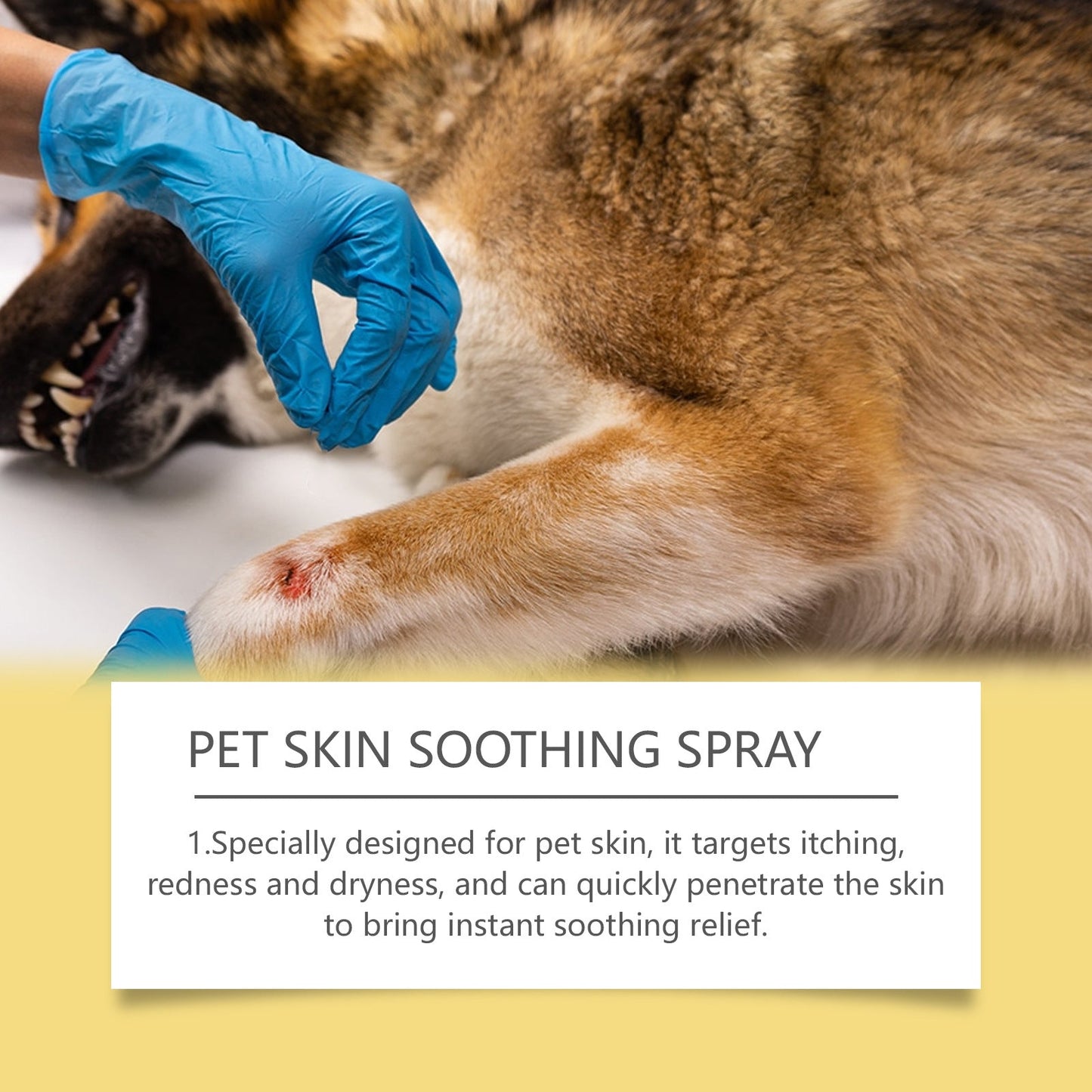 Pet Skin Care Spray Gentle Relief LadyShow.Store