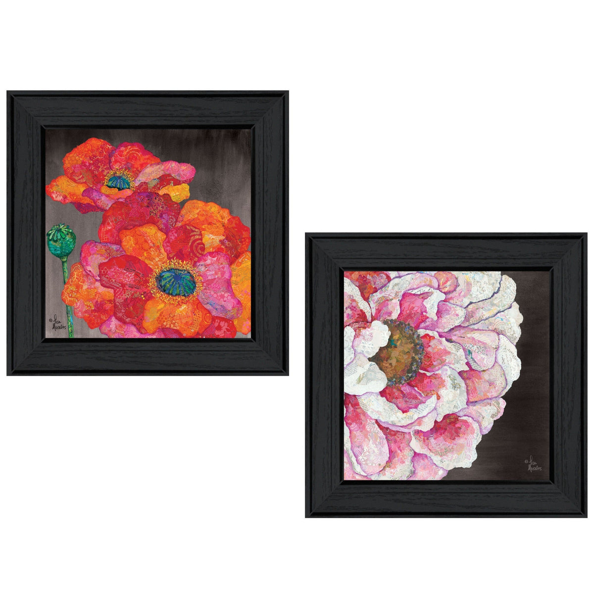 Set Of Two Blooms on Black 2 Black Framed Print Wall Art LuxuryLifeWay Online Store