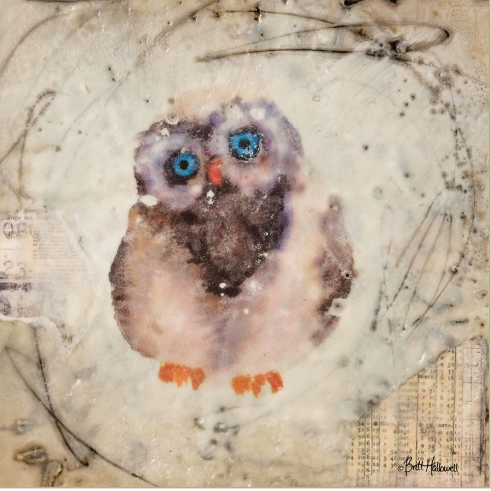 Set Of Two Wonder Years Owls 1 White Framed Print Wall Art LuxuryLifeWay Online Store