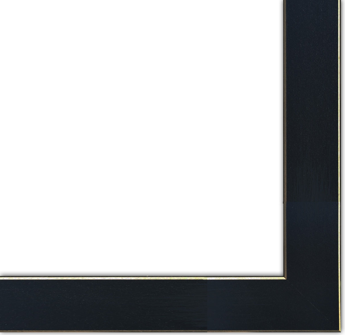 Set Of Two Transitional Blooms 3 Black Framed Print Wall Art LuxuryLifeWay Online Store