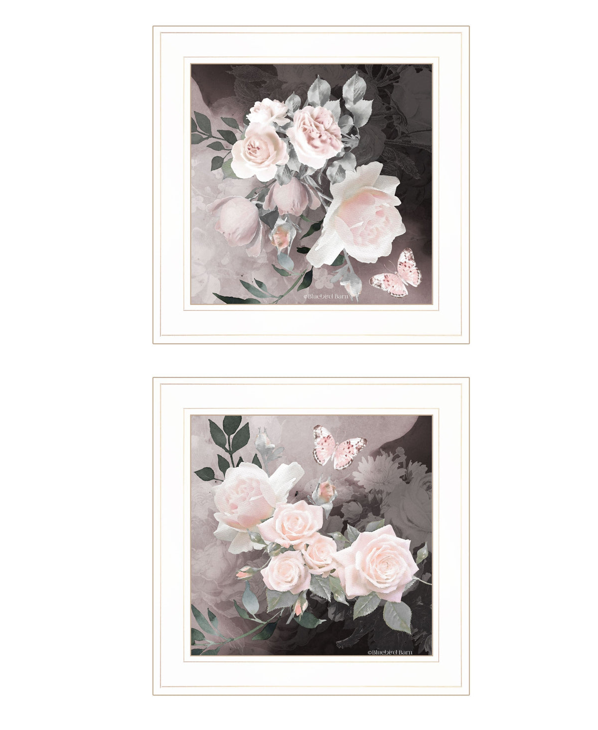 Set Of Two Noir Roses 1 White Framed Print Wall Art LuxuryLifeWay Online Store