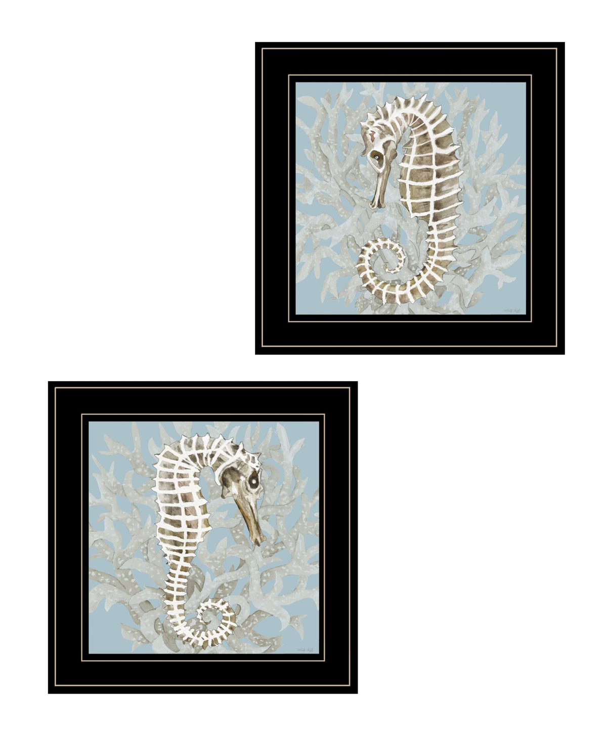 Set Of Two Coral Seahorse 1 Black Framed Print Wall Art LuxuryLifeWay Online Store